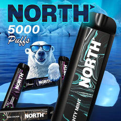 North 10ML 5000 Puffs 550mAh Prefilled Nicotine Salt Rechargeable Disposable Vape Device With Mesh Coil & E-liquid & Battery Indicator - Display of 10 - SquaredistributionNORTH