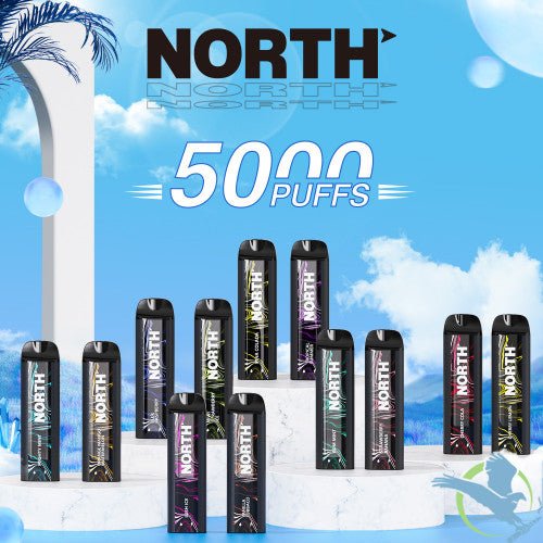 North 10ML 5000 Puffs 550mAh Prefilled Nicotine Salt Rechargeable Disposable Vape Device With Mesh Coil & E-liquid & Battery Indicator - Display of 10 - SquaredistributionNORTH